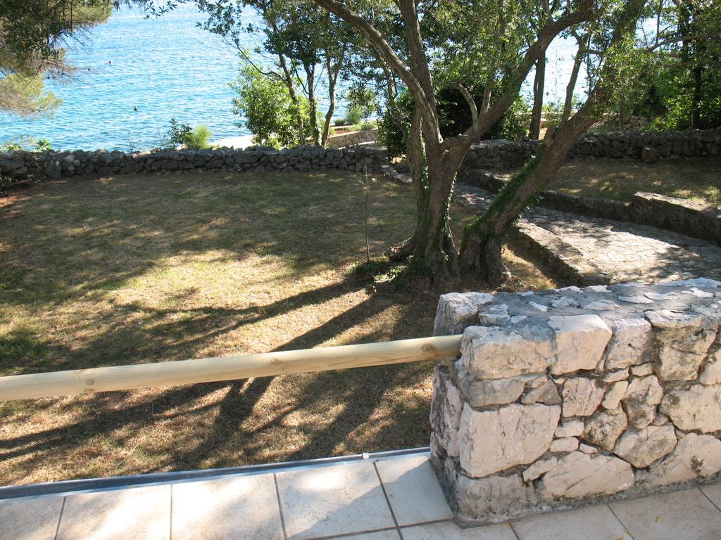 Apartment Maslina *