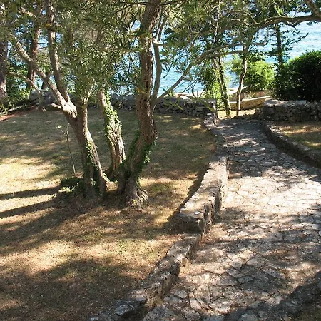 Villa Maslina Vantacici Exterior photo
